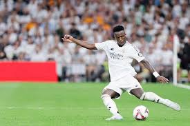 的阵容中 的阵容中